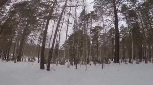 Скандик CUV 600, Е 550 2