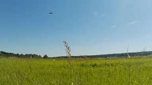на электроведосипеде по дебрям