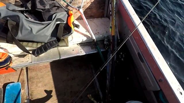 #Рыбалка#Озеро#Окунь#Хариус Сегозеро, рыбалка в августе.