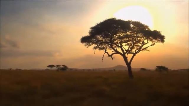 Мужчина для ЗДОРОВЬЯ. Вред или польза? (Мнение специалистов и очистительная практика) смотреть онлайн