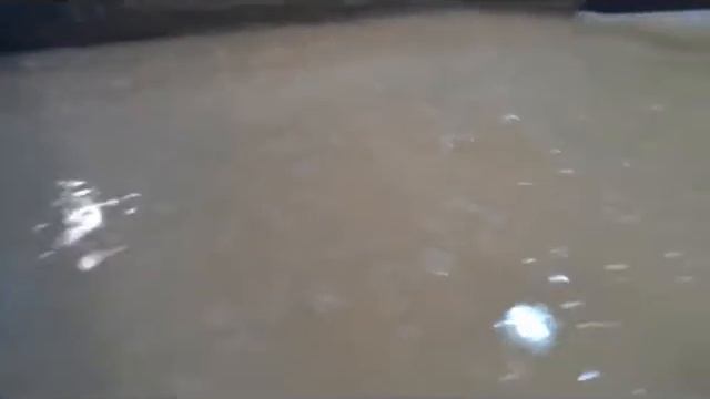 Производство творога в Минусинске смотреть онлайн