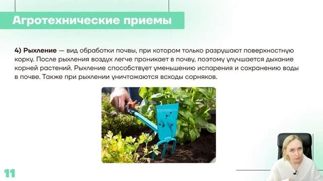 Вегетативное размножение растений, агротехнические приемы.