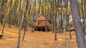 Хорошее место для отдыха возле Мгарского монастыря в лесу 11.10.2021