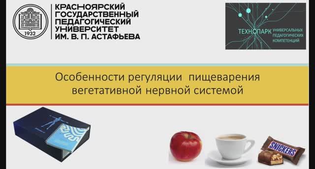 Особенности регуляции пищеварения вегетативной нервной системой