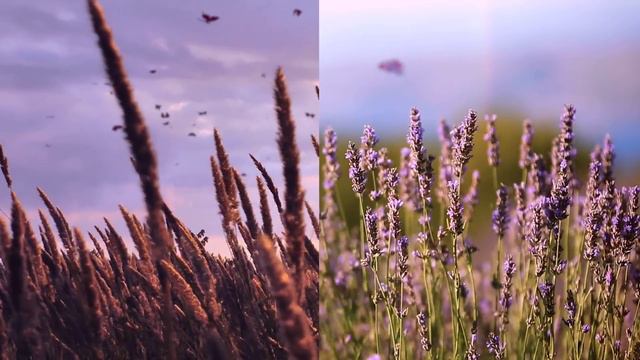 Color of the Year and Color Trends 2024 - Blue Nova 825 | Benjamin Moore смотреть онлайн