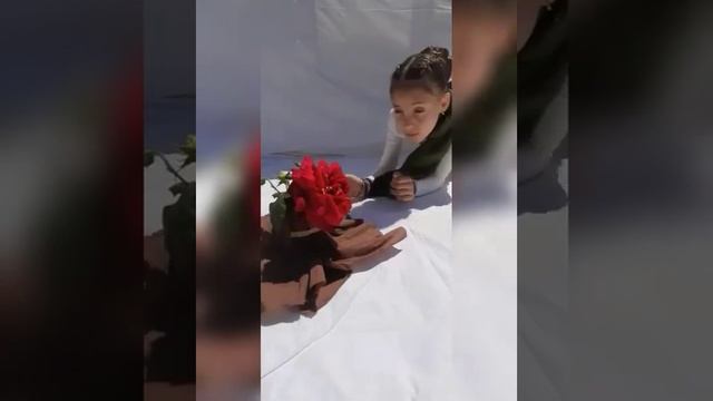 "Маленький принц" - отрывок из повести Антуан де Сент Экзюпери смотреть онлайн