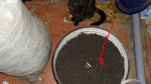 Подготовка грунта для рассад