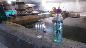 Предсказатель клёва правда или нет