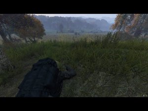 DAYZ. Сервер Full365. Придёт серенький волчок