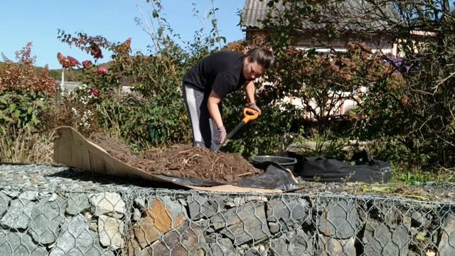 ГРЯДКИ ДЛЯ ТЫКВЫ ГОТОВЛЮ ОСЕНЬЮ | РАБОТЫ В ОГОРОДЕ | ЗОЛОТАЯ ОСЕНЬ В ПРИМОРЬЕ