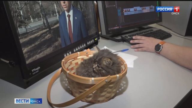 Съемка одного из наших репортажей сегодня завершилась добрым делом смотреть онлайн