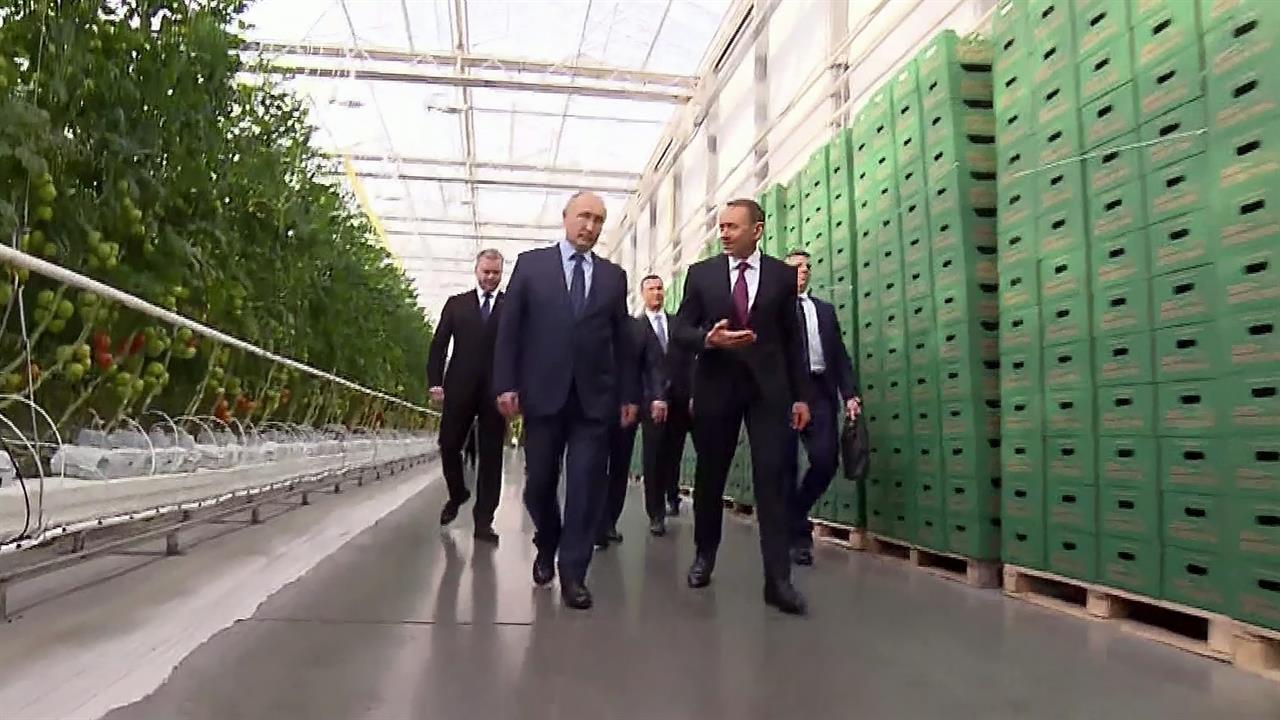 Владимир Путин в Ставропольском крае посетил один из крупнейших в стране агрохолдингов