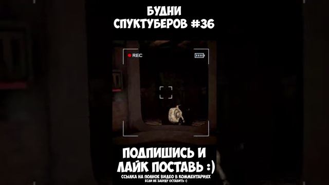 Будни спуктуберов #36 | Content Warning #contentwarning #gaming #игры #будни #games #game