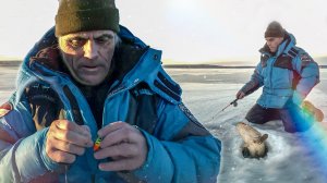 Рыбацкая заебуриха. Ловля окуня на балансир зимой. Трофейная щука | С Полем!