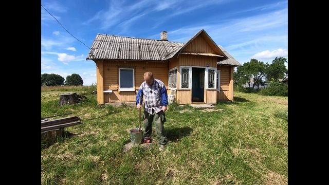 Как вырастить грибы у себя на участке смотреть онлайн