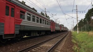 Близ платформы «Заря» Горьковского направления. Электропоезда ЭД4М-0343, ЭД4М-0500 и ЭД4М-0037