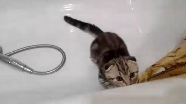 Мой Тёма в ванной залез и играет 💋💋❤ смотреть онлайн