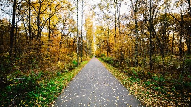 Zac Tiessen & Brock Hewitt. In This Birch Grove смотреть онлайн
