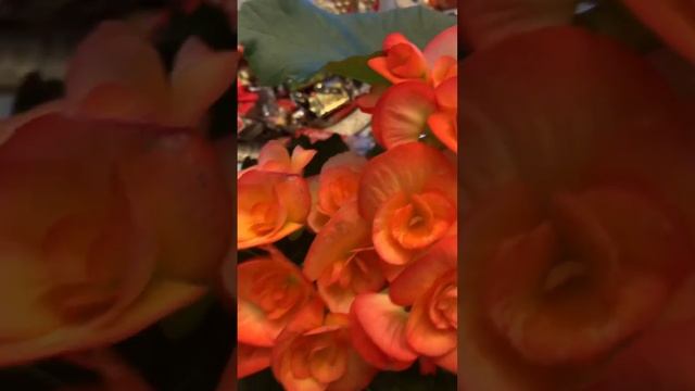 Алла Борисовна ❤️❤️❤️❤️❤️ смотреть онлайн