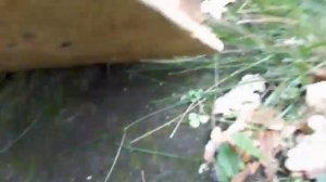 Проточный водонагреватель на газовой плите для подачи горячей воды в душ.