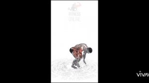 Всё что нужно знать участникам фитнесМарафона