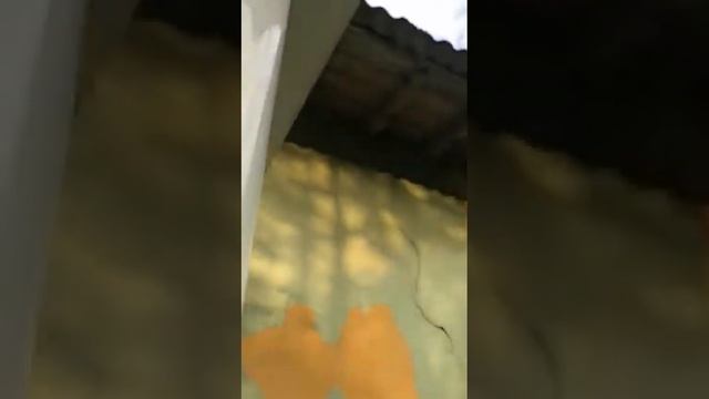 Отделка балконов и лоджий любой сложности смотреть онлайн