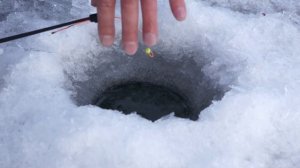 Зимняя рыбалка в Пензе, Колдаис