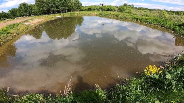 ПРУД ! ЧТО СТАЛО С НИМФЕЯМИ ? ПЛАНИРОВЩИК ДЛЯ ГРУНТА !  [Жизнь в деревне] смотреть онлайн