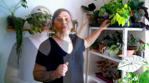 🌿PLANTES TOUR PRINTEMPS 2020 (avant déménagement) PARTIE 1 | PLANTES TOUR