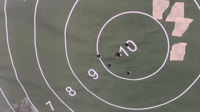 Тигр и Сайга пристрелка! смотреть онлайн