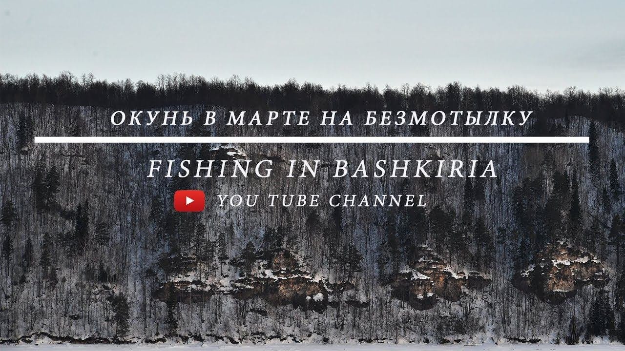 Окунёчки окуньки с того берега реки. Павловка, окунь по весне.