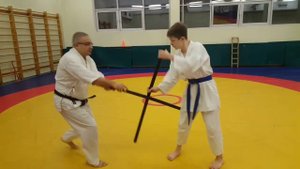 12¦ Reiseinin ryu Aikijutsu 2020 ¦ 5,4,3,2 kyu ¦ jo soburi tsuki, uraken, tataku, seriai