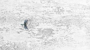 CAT Games | Ultimate Cat TV Bugs and Butterflies Compilation Vol 5 ? ???? | Videos For Cats to Watc