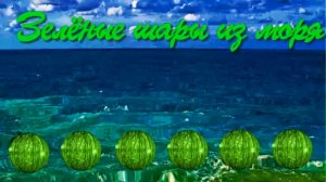 Загадки Земли. Зелёные шары из моря