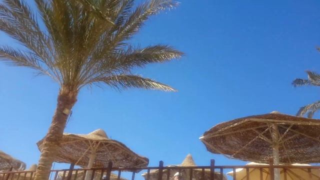 Хилтон Шаркс бей - безветренная бухта