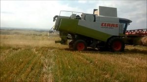 Claas Lexion 480:) Żniwa 2013