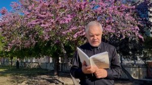 Иуда и дерево, место позорной смерти предателя Иисуса Христа - Иуды Искариота