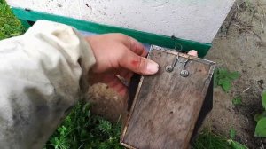 Окуривание пчёл от клеща