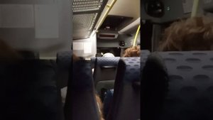 Поездка на автобусе по маршруту #447 Смолевичи-Минск