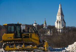 Вырубка леса в Коломенском