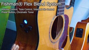 CORT GOLD A6 Sound Test || The BEST acoustic guitar series by Cort EVER 😱😱😱