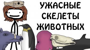 "ТОП 10 самых ужасных скелетов животных" - Академия Сэма О'Нэллы (Русская Озвучка Broccoli)