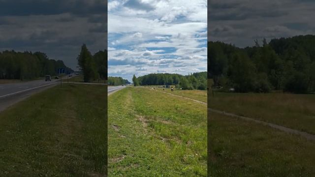 Верблюды и лошади в Вологодской области. Ферма у дороги.