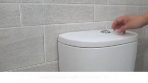 Установка крышки биде TOTO WASHLET