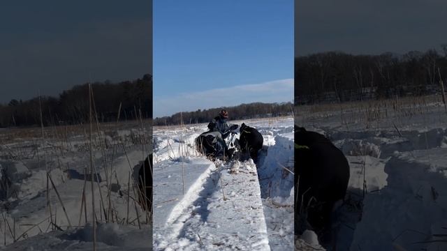 getting kelly polaris 650 unstuck - TOAD ? POND snowmobile fantasy it’s deep!! смотреть онлайн