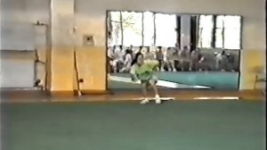 Тренировка сборной Пекина по УШУ 1997 / 1997 Beijing Wushu training