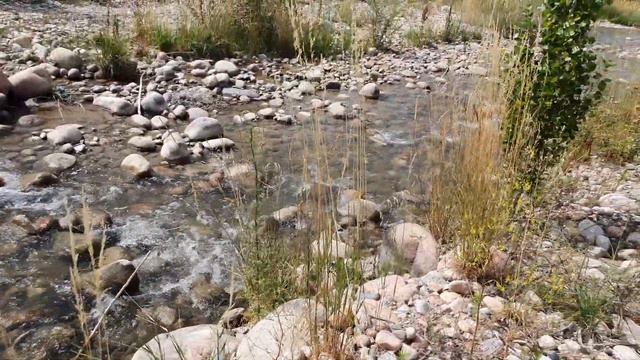 Каменная природа 44 смотреть онлайн