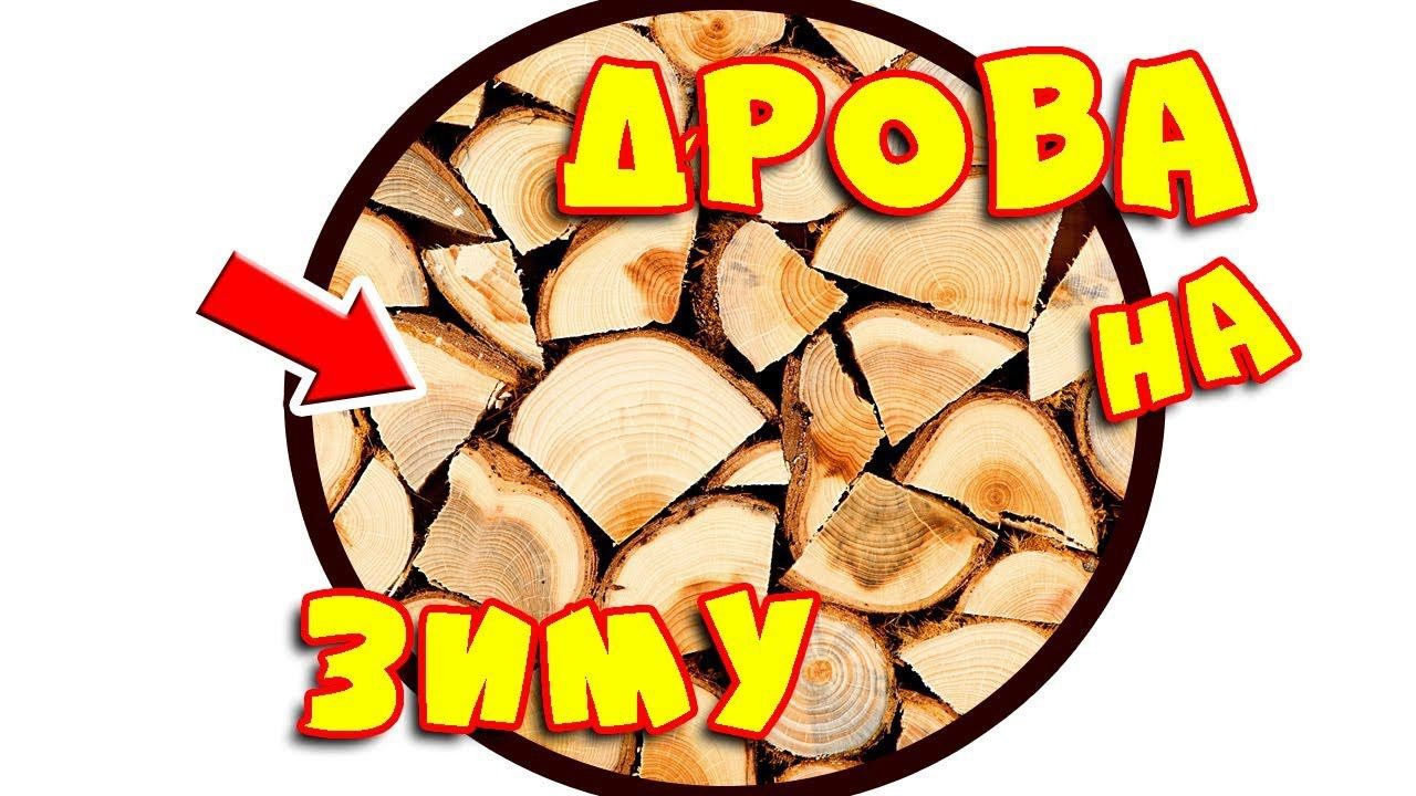 Дрова На Зиму! 6 Кубов Дров! Жизнь в деревне. Обрезки на дрова #4