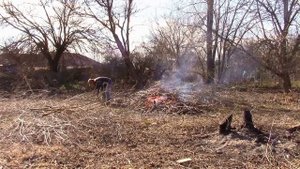 16_02_2020_СЕЛЬСКИЕ БУДНИ.mp4