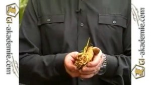 №4 Советы садоводу от Юрия Борисовича Марковского